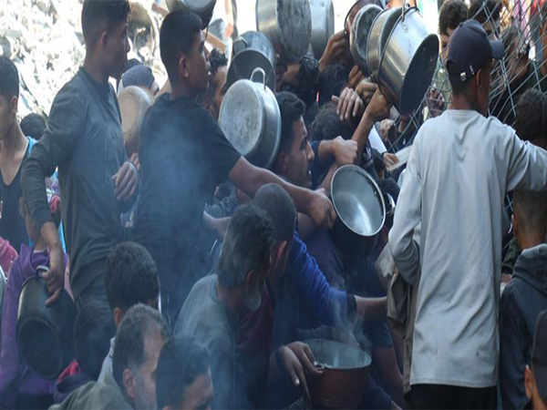 World Health Organization says 2.1 million in Gaza face food shortage (Photo/WHO)