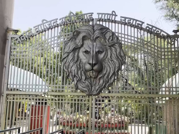 UP zoos, safaris shut after tigress died of bird flu in Gorakhpur (Photo/ANI)
