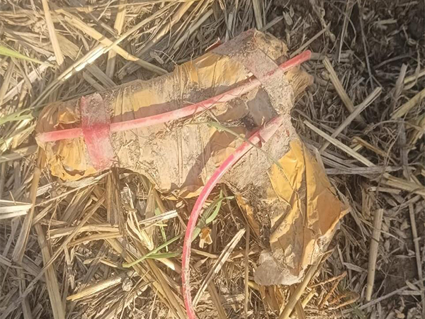 Visual of a pistol at the spot (Photo/BSF)  