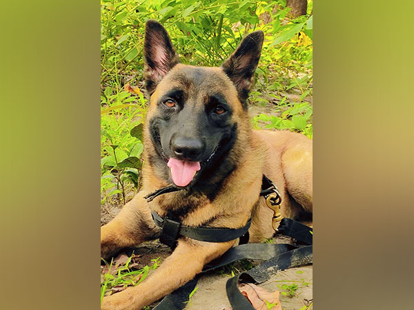 K9 Rolo, CRPF sniffer dog, killed in anti-Naxal operation (Photo/ANI)