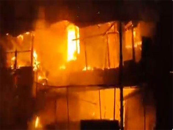 Fire breaks out in several shops in Maharashtra's Washim (Photo/ANI)