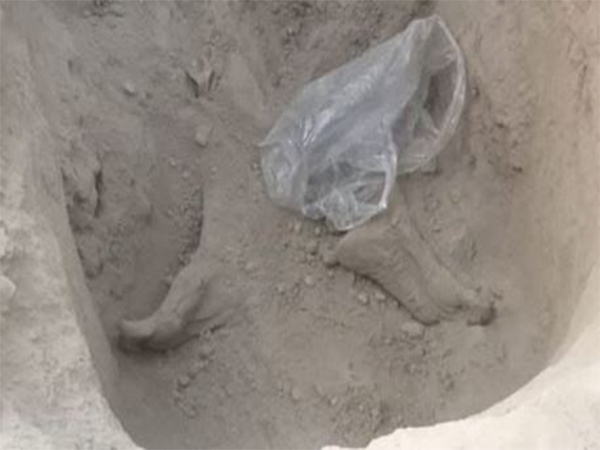 Representative Image (Photo/X@TBPEnglish)