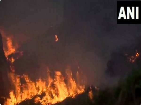 Visuals of Rajouri's forest area fire (Photo/ANI)