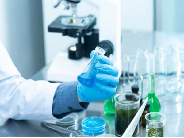 Representative Image (Photo: Pexels)