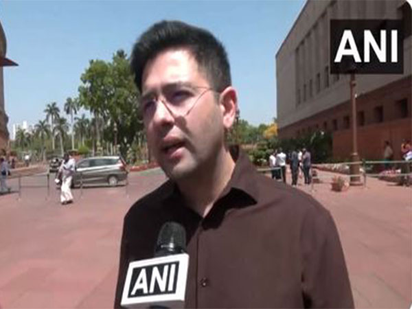 AAP MLA Raghav Chadha (Photo/ANI)