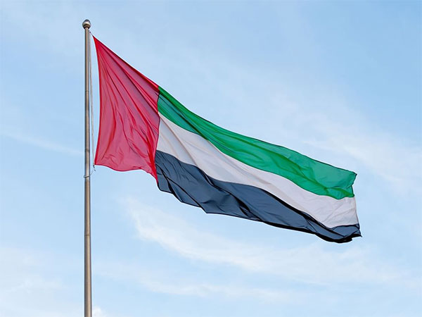 Flag of UAE 