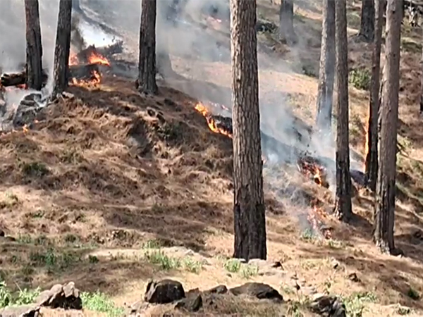 Forest fire in Rajouri (Photo/ANI)