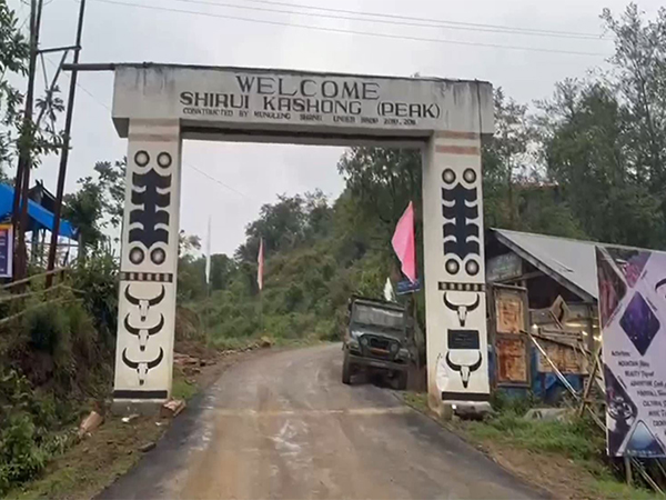 Shirui Lily Festival (File Photo/ANI) 
