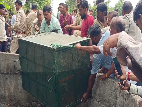 Leopard being rescued from well through cage (Photo/Forest Department)