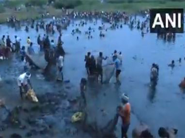 Villagers celebrate centuries-old fishing festival in Tamil Nadu's Melur (Photo/ANI)