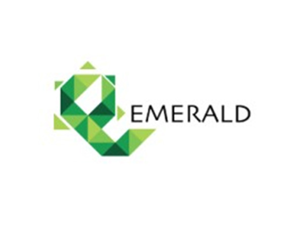 Emerald Finance Reports 246% YoY Surge in Q4 FY25 Net Profit