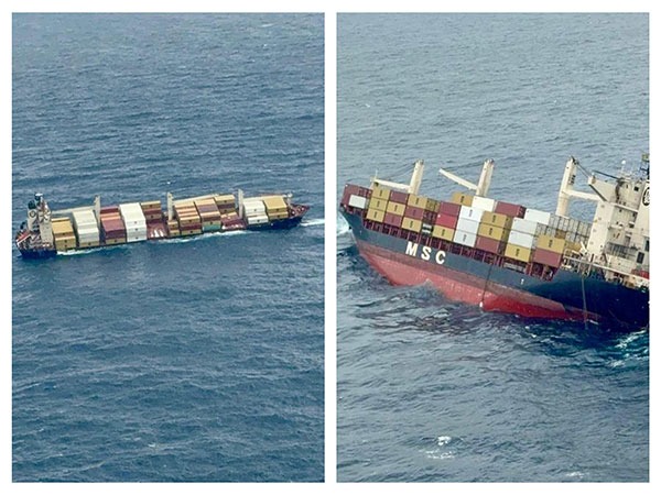 Container vessel MSC ELSA 3 (Photo/ANI)