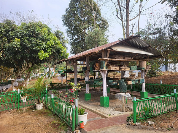 Scientific Meliponiary located at School of Agricultural Sciences, Nagaland University (Medziphema Campus) (Photo/ANI) Scientific Meliponiary located at School of Agricultural Sciences, Nagaland University (Medziphema Campus) (Photo/ANI)