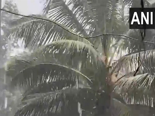 Heavy rain and strong winds prevail in Kottayam, Kerala, on Friday (Photo/ANI) Heavy rain and strong winds prevail in Kottayam, Kerala, on Friday (Photo/ANI)