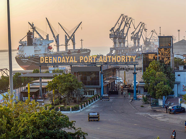 Deendayal Port Authority (Image: port authority)