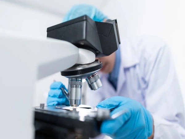 Representative Image (image source: Pexels) Representative Image (image source: Pexels)