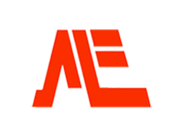 Maiden Forgings Achieved ₹ 213.57 Cr of Total Income in FY25 