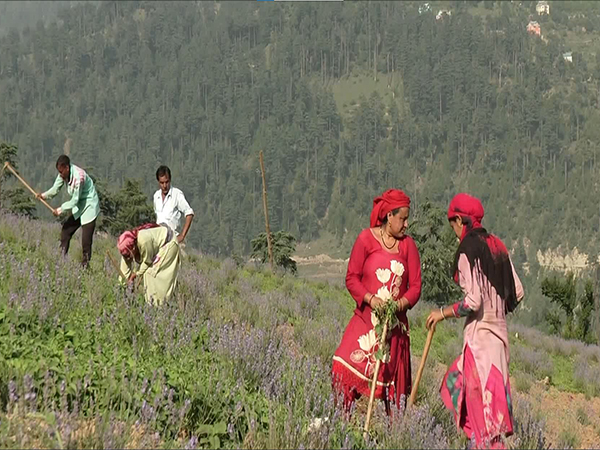 The Department of Agriculture organised a comprehensive farmer awareness programme at Bhalara Bhaderwah as part of the Viksit Krishi Sankalp Abhiyan 2025. (Photo/ANI)