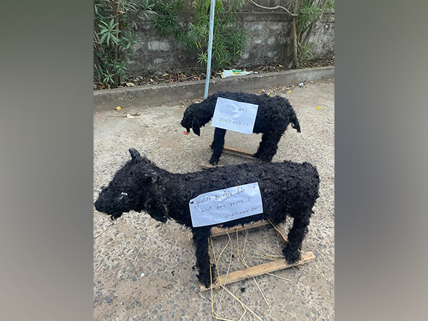 Eco-friendly Goats (Photo/ANI)