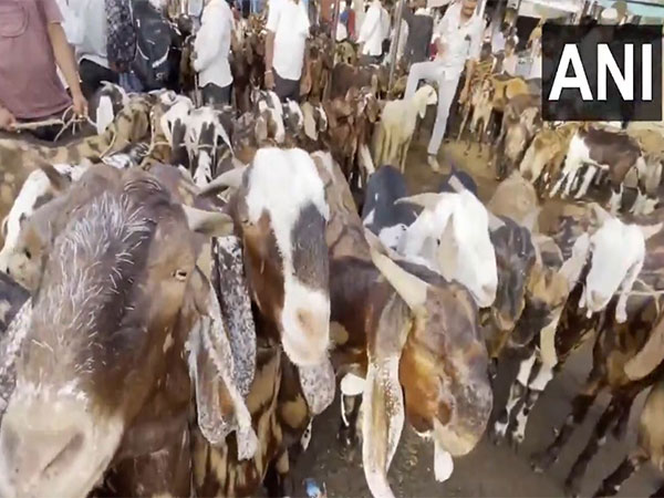 Visual from the market in Ajmer (Photo/ANI)