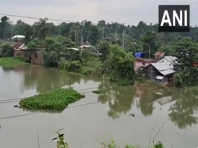 Assam Flood (Photo/ANI)