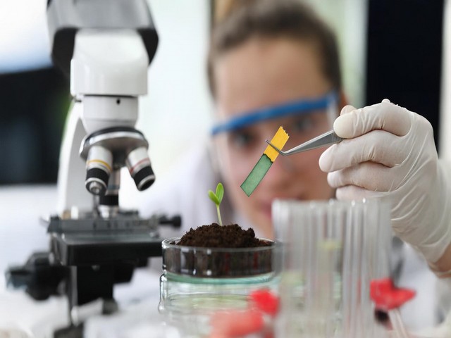 Preparing M.Sc. Biotech Students for Tomorrow’s Medical Frontiers