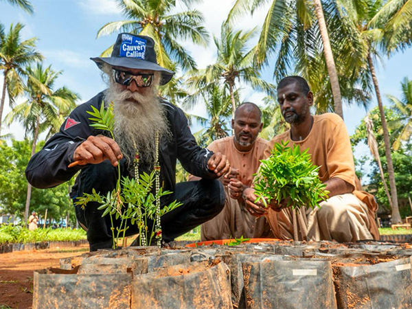 Sadhguru plants sapling (Photo/ANI)