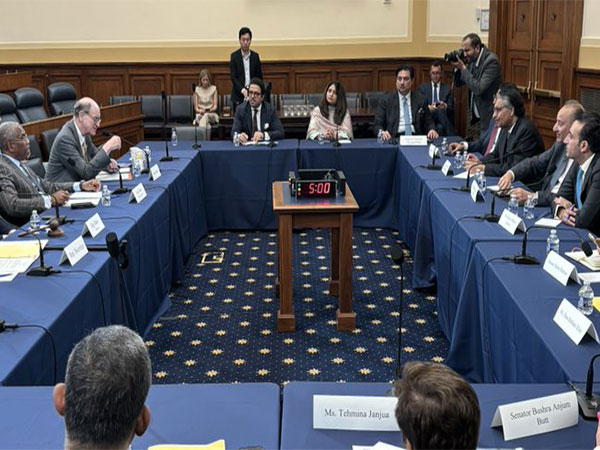 US lawmakers meeting Pakistani delegation (Photo/ Congressman Brad Sherman on X @BradSherman) 
