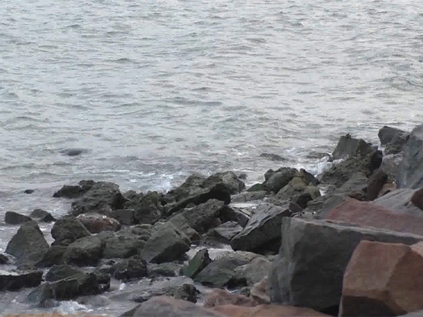 Plastic recycling work at Muthunagar beach, Thoothukudi on World Oceans Day (Photo/ANI)