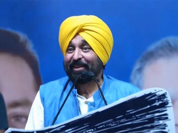  Punjab Chief Minister Bhagwant Mann (Photo/ ANI) 