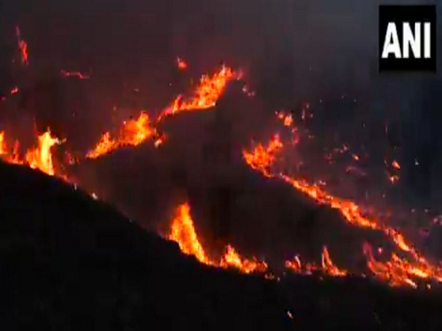 Flames engulf the Kaldi forest in Jammu and Kashmir's Udhampur. (Photo/ANI)