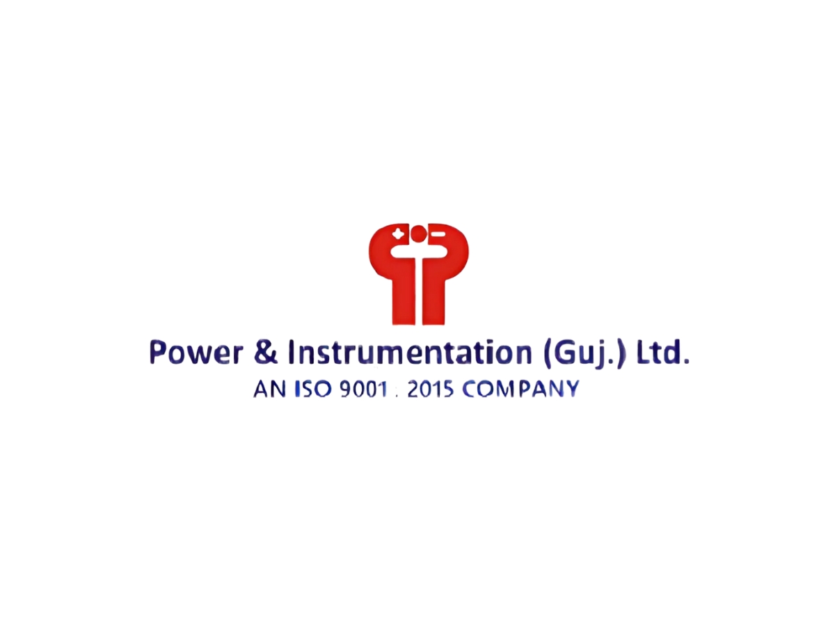 Power & Instrumentation (Gujarat) Standalone FY25 Revenues Grew 73% & NP by 100%
