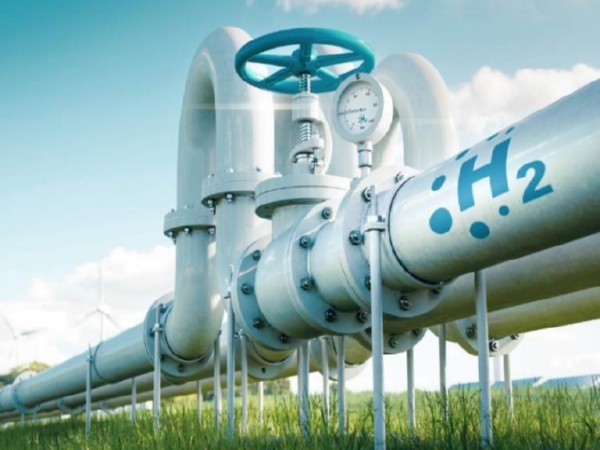 Representative Image (Image: Institute for Energy Economics and Financial Analysis report)