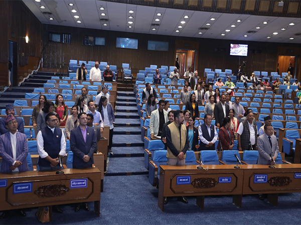 Opposition lawmakers stand in motion of protest during 11th June, 2025 meeting of the House of Representatives (Photo/Federal Parliament Secretariat)
