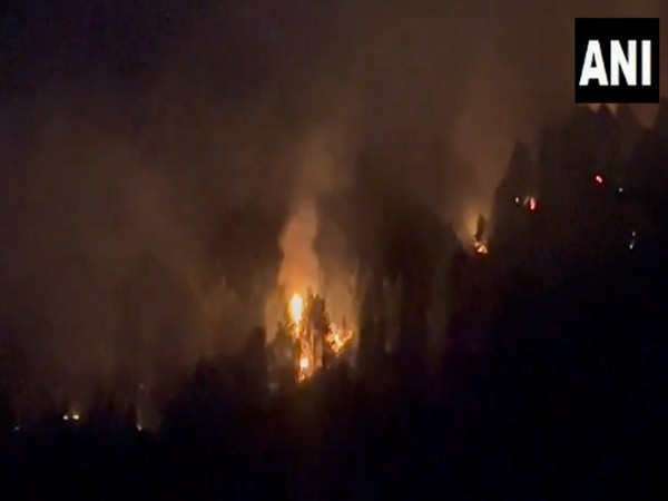 massive fire in the forest area of Sonamarg (Photo/ANI)