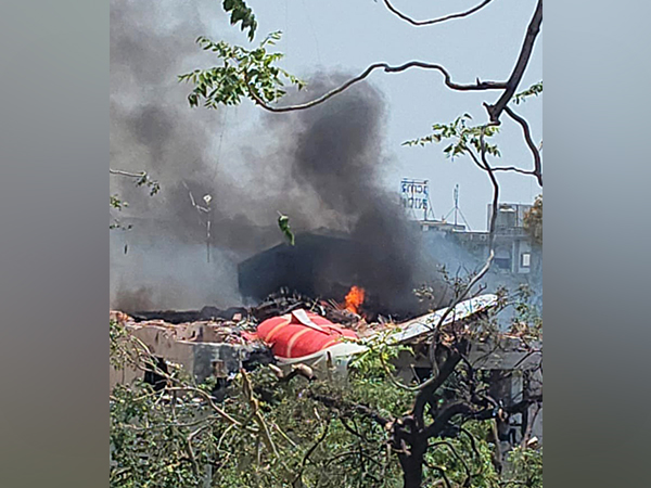 Visuals from the crash site. (Photo:ANI)