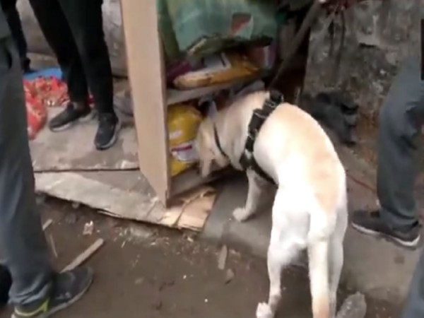 Sniffer dog squad at accident site (Photo/ANI)