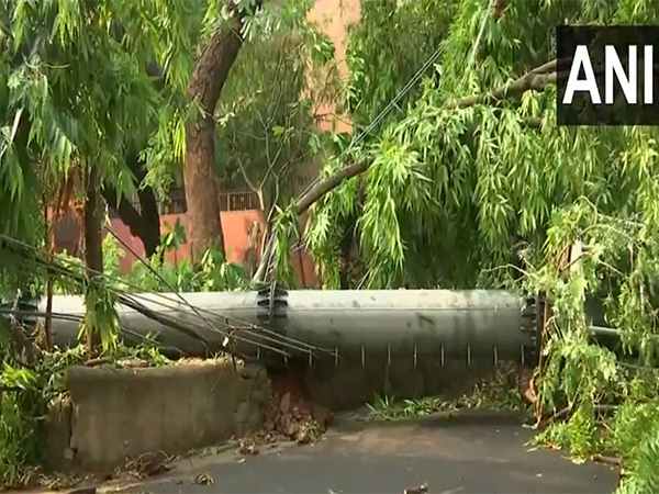 A mobile tower in Safdarjung Enclave fell last night as the city received gusty winds and heavy rainfall (Photo/ANI)