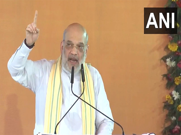 Union Home Minister Amit Shah(Photo/ANI)