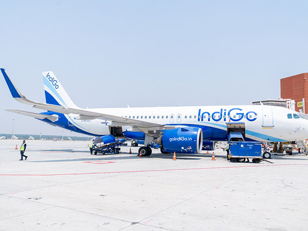 An IndiGo aircraft (File Photo)