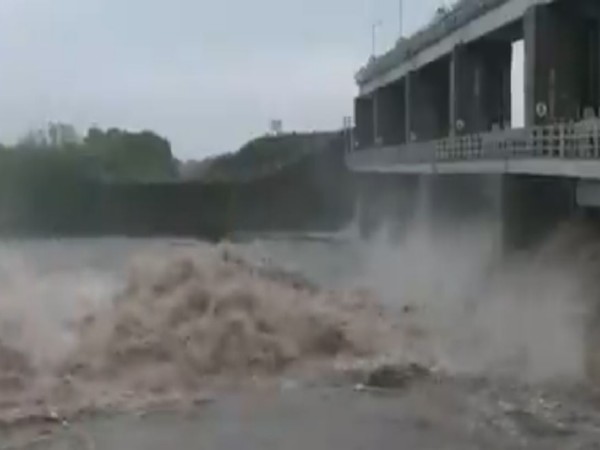 Visuals from the Khambhada Dam in Botad (Photo/ANI)