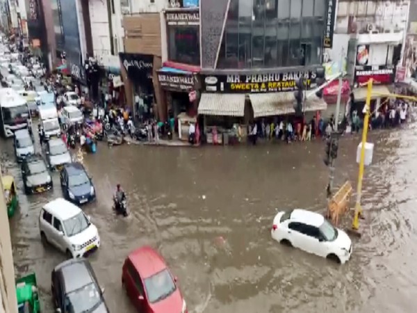 Vehicles ply on a waterlogged road following rainfall in Mahipalpur area, in New Delhi on Tuesday. (Photo/ANI)