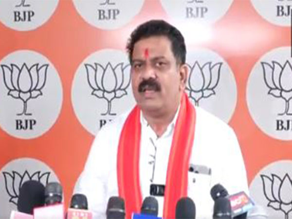 Chhattisgarh DyCM Vijay Sharma (Photo/ANI)