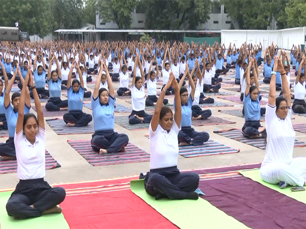 NCC cadets perform yoga in Ahmedabad (Photo: ANI)