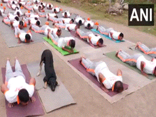 A trained stray dog performs yoga alongside NDRF personnel in Udhampur ahead of International Yoga Day (Photo/ANI)