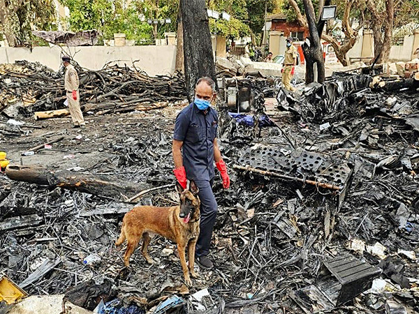 Visual from the plane crash site (Photo/ANI)