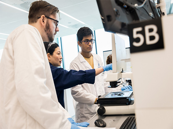 The University of Melbourne