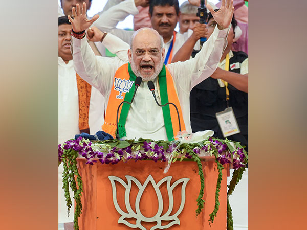 Union Home Minister Amit Shah (File Photo/ANI)