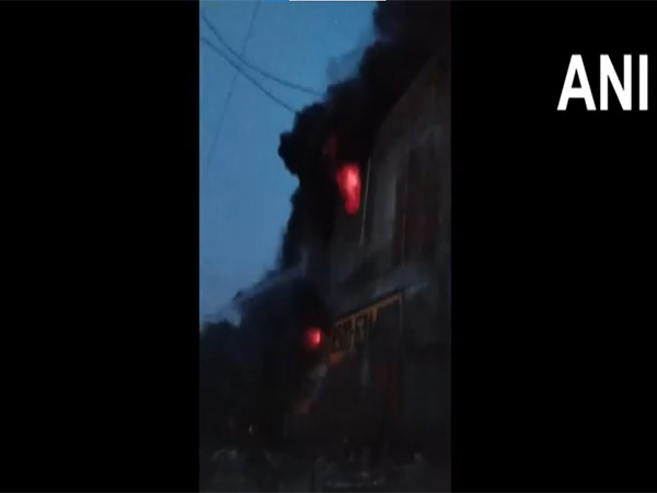 Fire breaks out in Delhi's Bawana (Photo: ANI) 