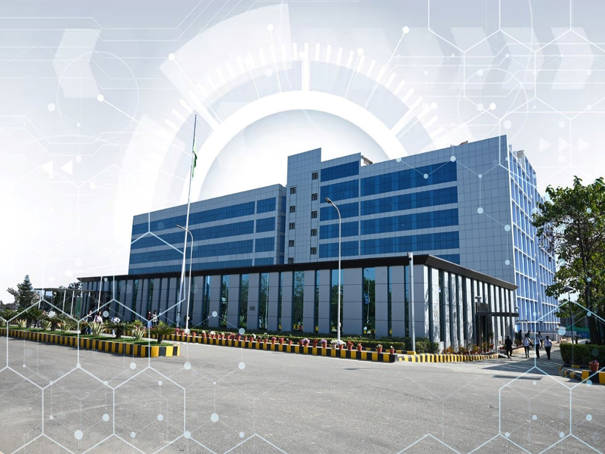 601 portions served in a single plant-based cookout, reflecting the university’s applied learning model